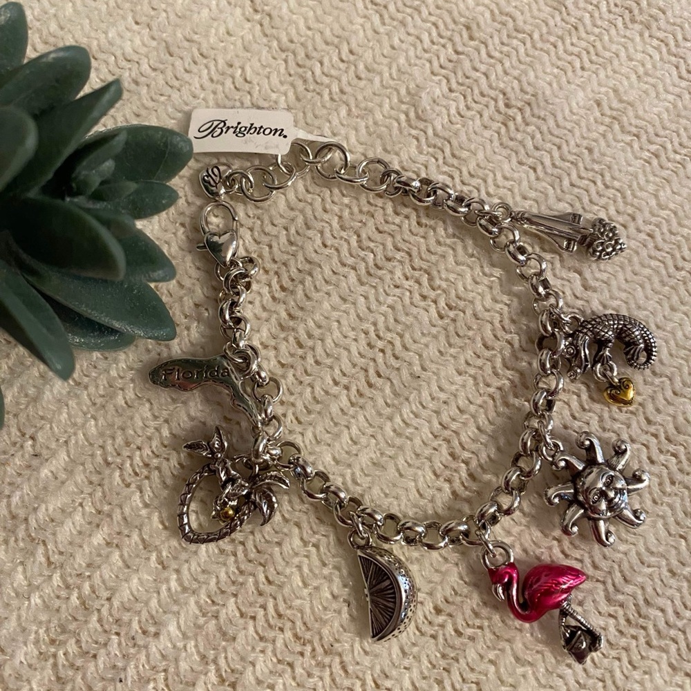✨🆕✨Brand New Brighton Charm Bracelet